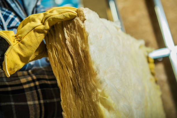 Best Cellulose Insulation in Stryker, OH
